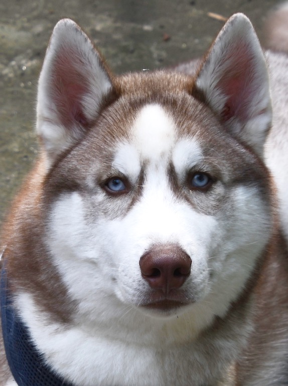 Print In Class M By Gail Wysocki For Atlas JAN-2019.jpg